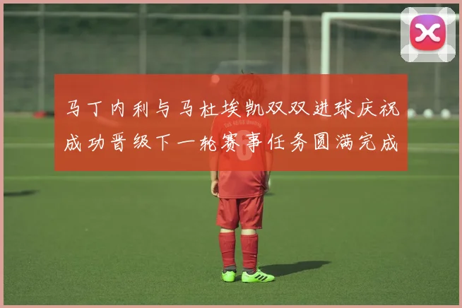 马丁内利与马杜埃凯双双进球庆祝成功晋级下一轮赛事任务圆满完成